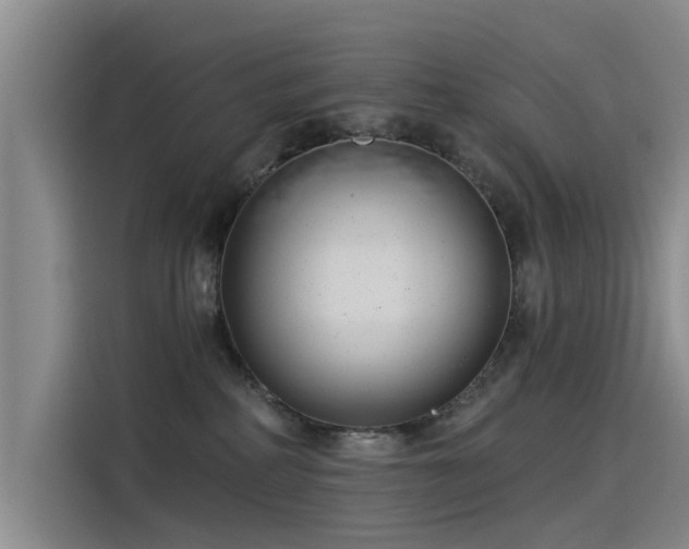 X0000115230234200911061133