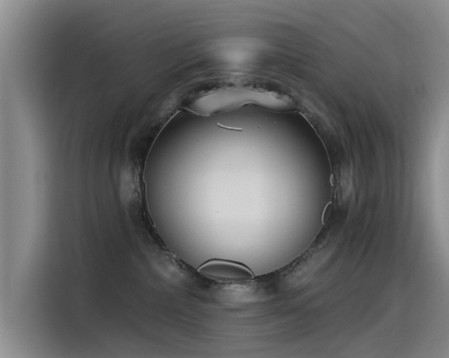 X0000115230236200911061133