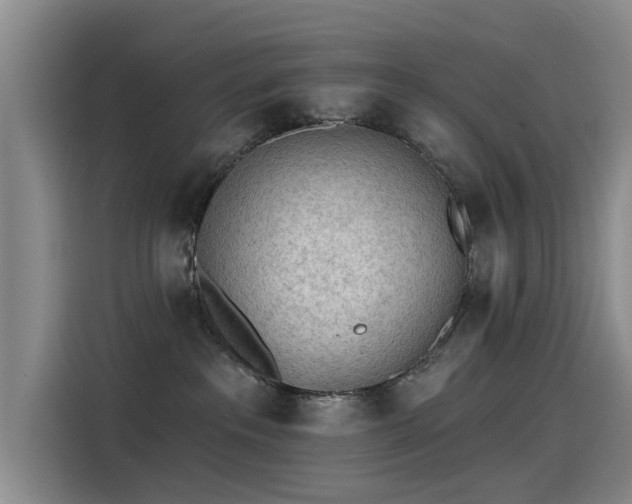X0000115230237200911061133
