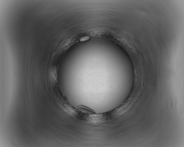 X0000115230240200911061133