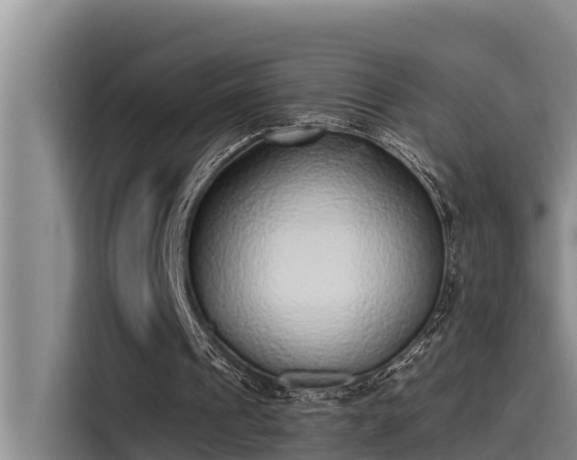 X0000115230241200911061133