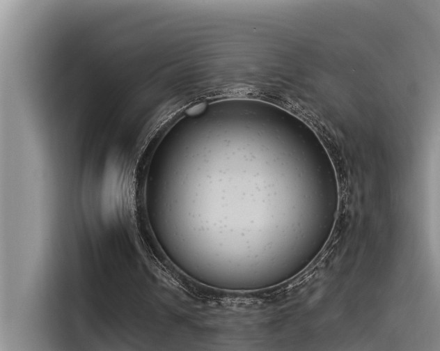 X0000115230242200911061133
