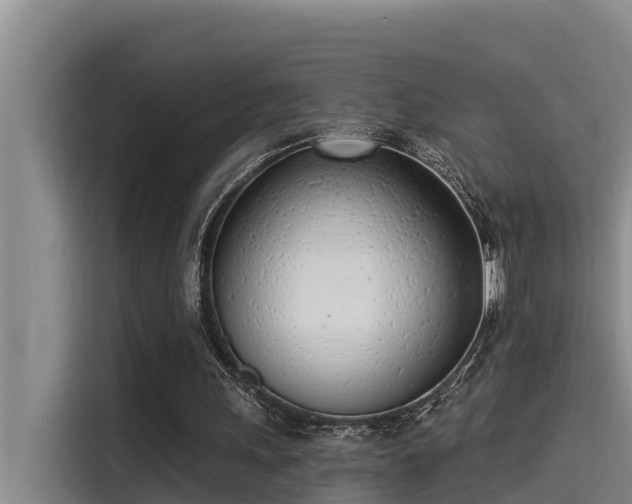 X0000115230243200911061133