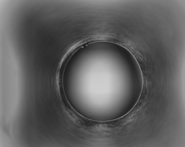 X0000115230244200911061133