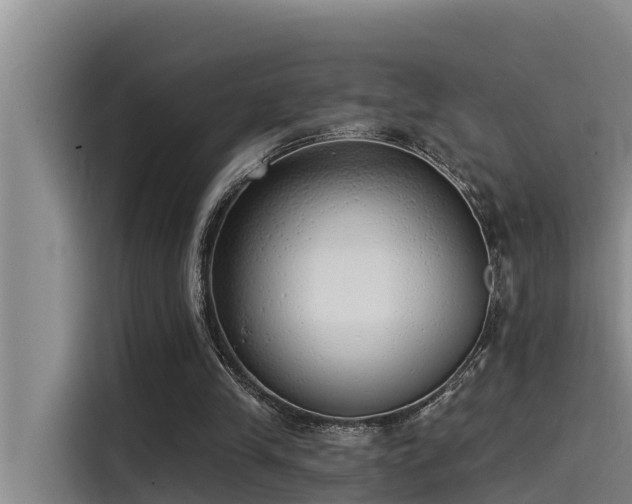 X0000115230245200911061133