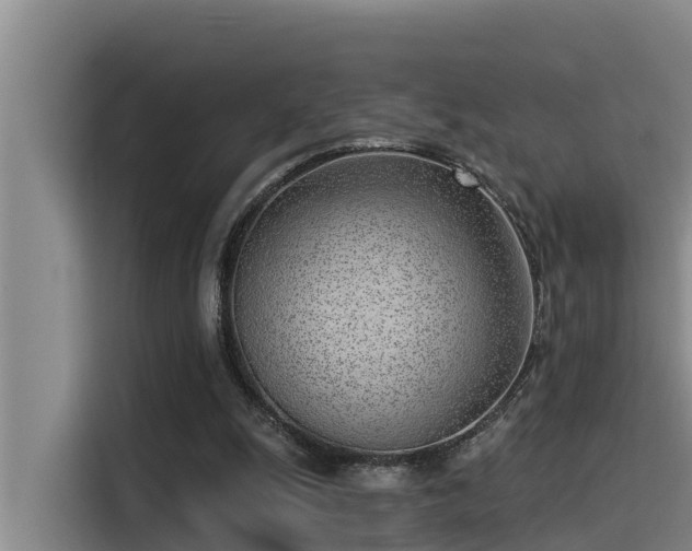 X0000115230247200911061133