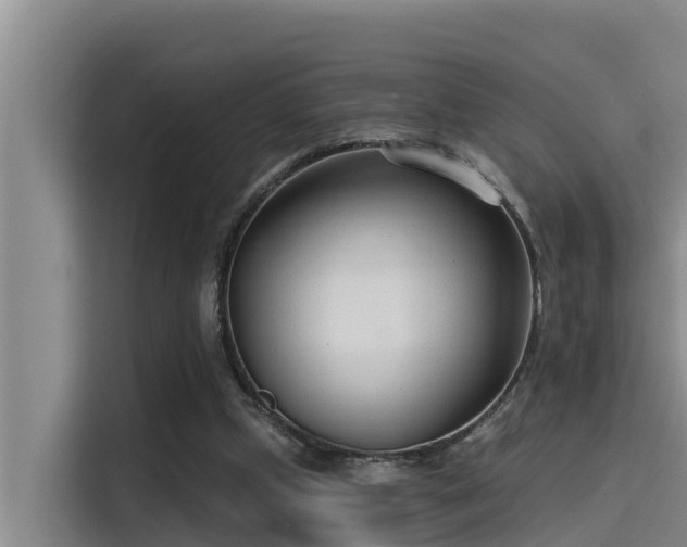 X0000115230249200911061133