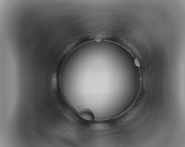 X0000115230251200911061133