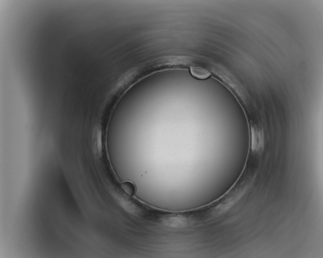 X0000115230253200911061133