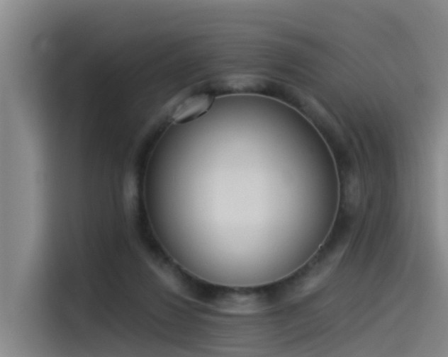X0000115230260200911061133