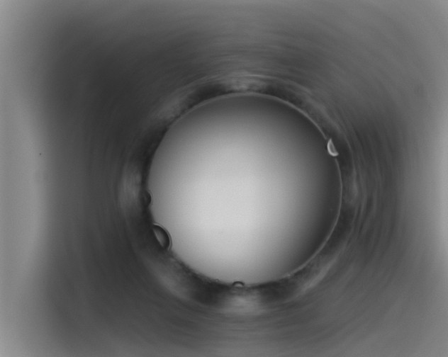 X0000115230263200911061133