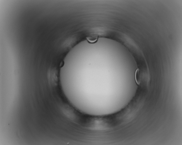 X0000115230264200911061133