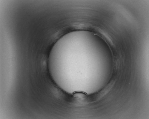 X0000115230265200911061133