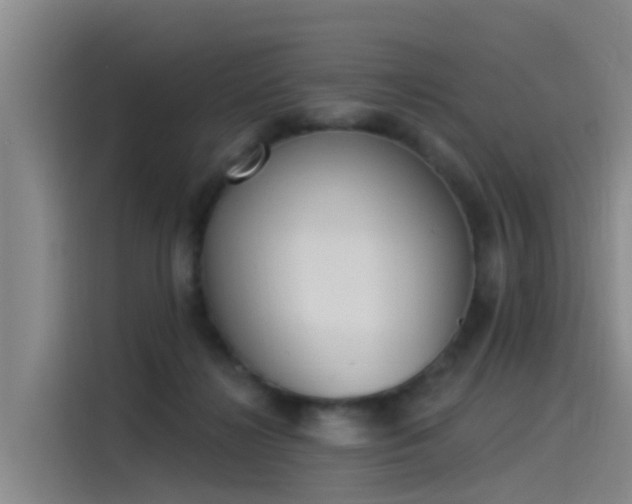 X0000115230268200911061133