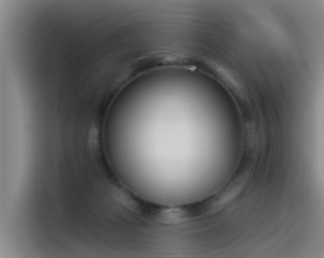 X0000115230269200911061133