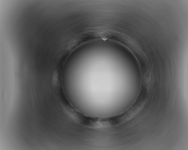 X0000115230270200911061133