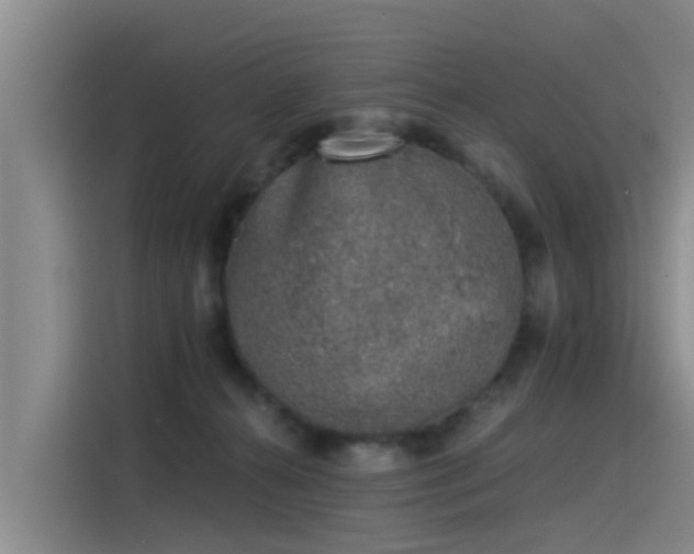 X0000115230272200911061133