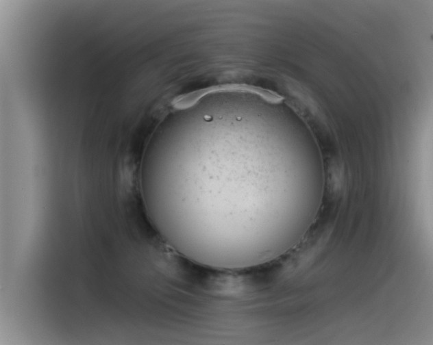 X0000115230276200911061133