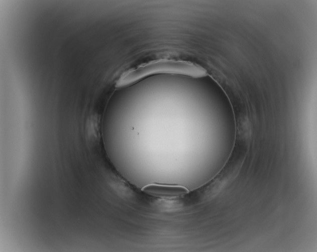 X0000115230280200911061133