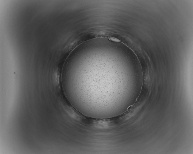 X0000115230282200911061133