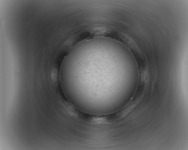 X0000115230283200911061133