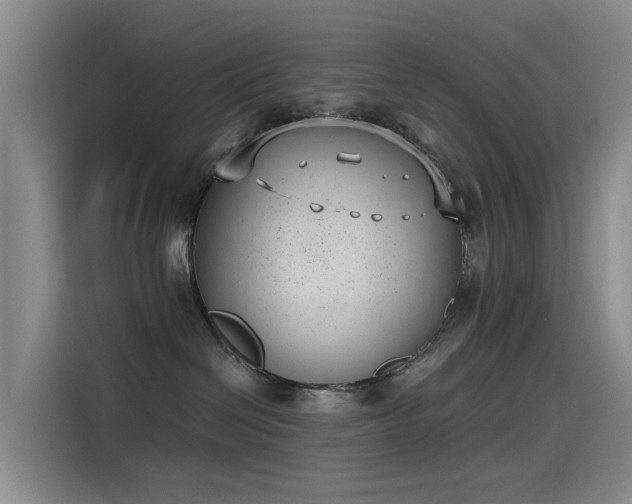 X0000115230286200911061133