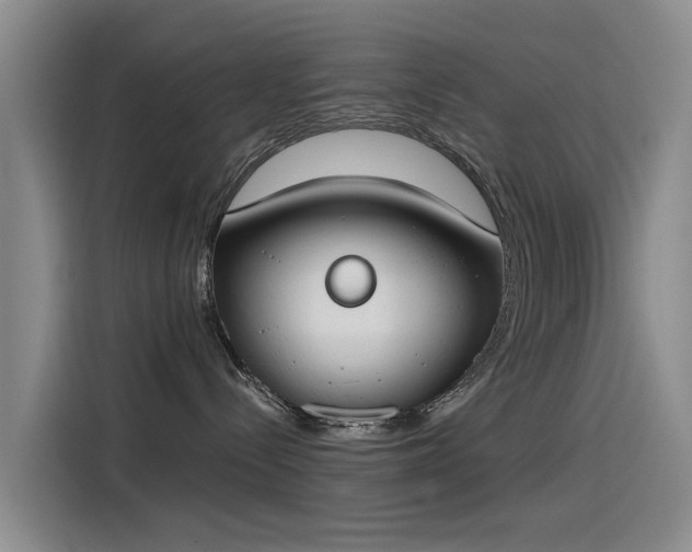 X0000115230288200911061133