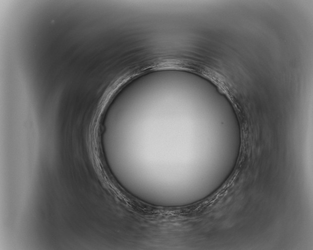 X0000115230289200911061133