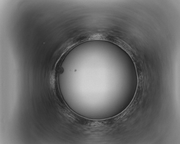 X0000115230290200911061133