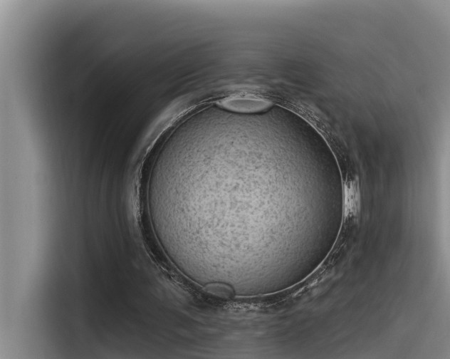 X0000115230291200911061133