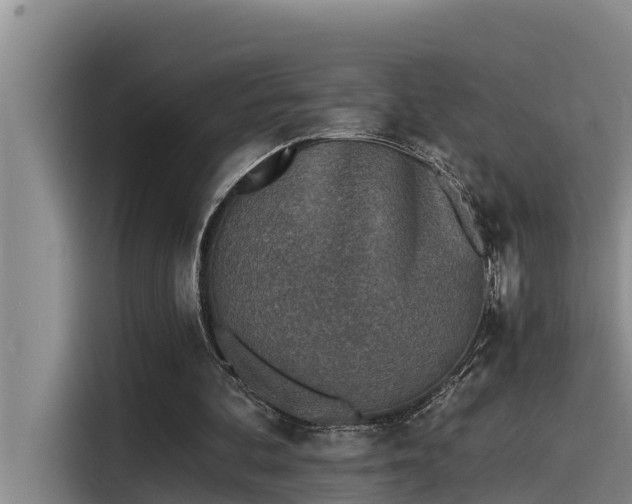 X0000115230292200911061133