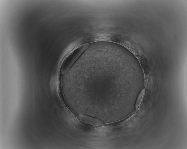 X0000115230293200911061133
