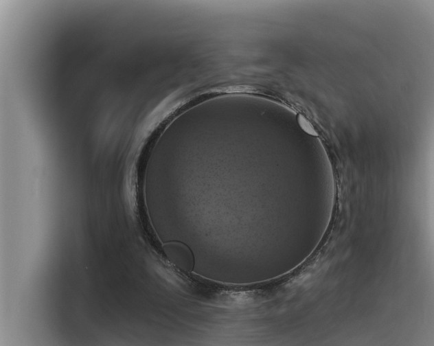 X0000115230295200911061133
