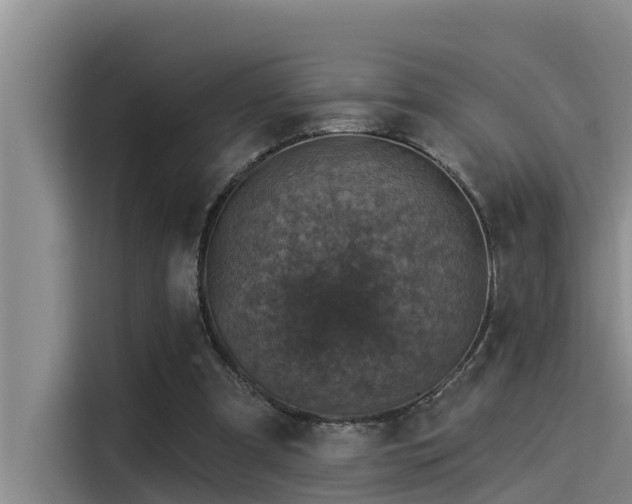 X0000115230297200911061133