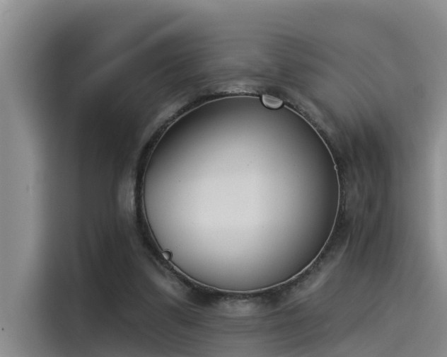X0000115230299200911061133