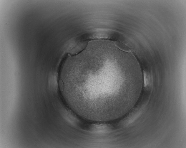 X0000115230300200911061133