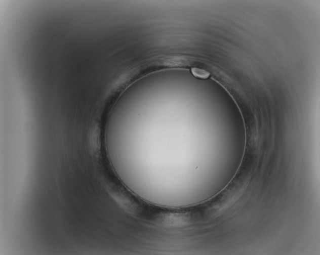 X0000115230303200911061133