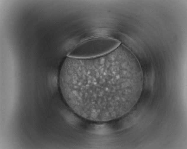 X0000115230309200911061132