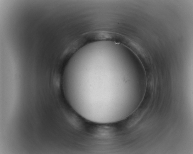 X0000115230315200911061132
