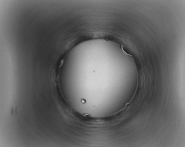 X0000115230316200911061132