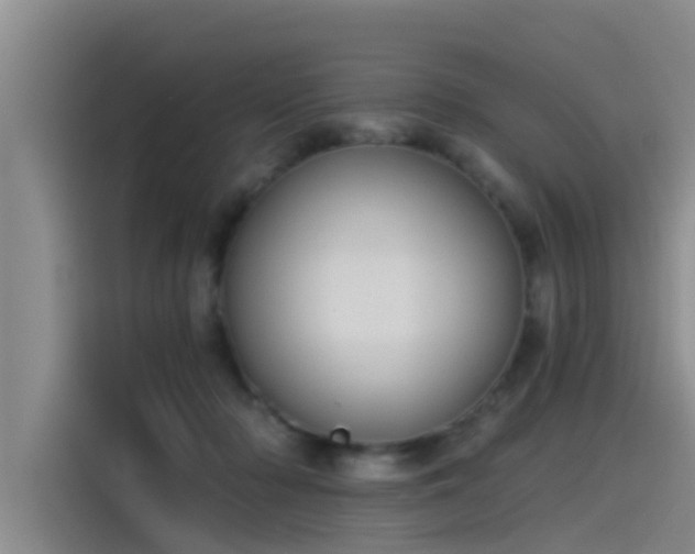 X0000115230318200911061132
