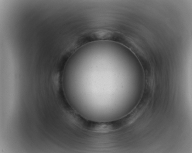 X0000115230319200911061132