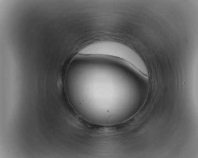 X0000115230320200911061132