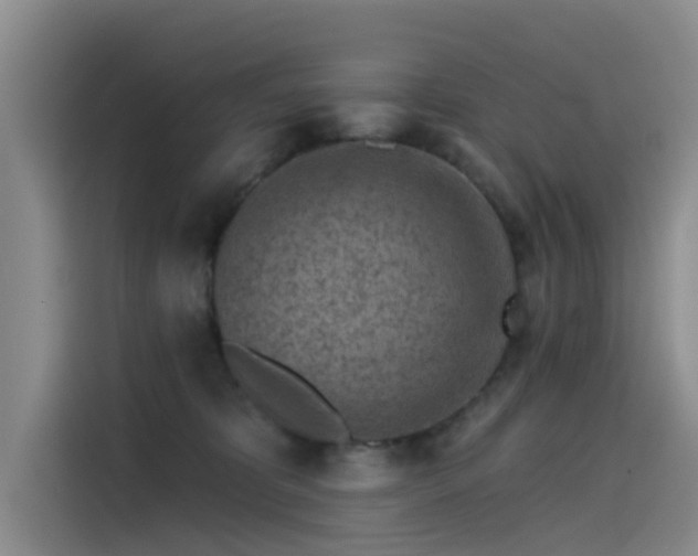 X0000115230325200911061132