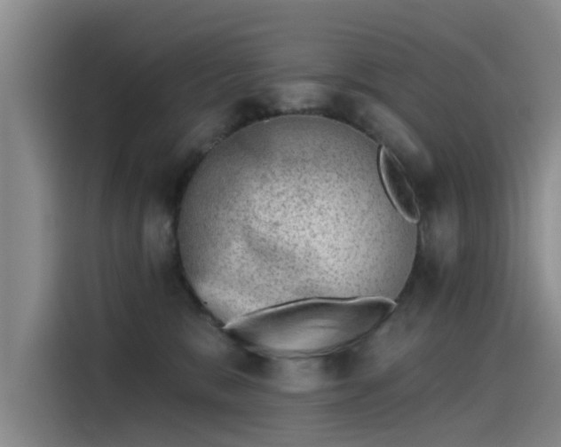 X0000115230327200911061132