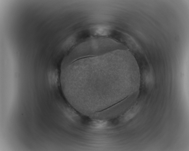 X0000115230328200911061132