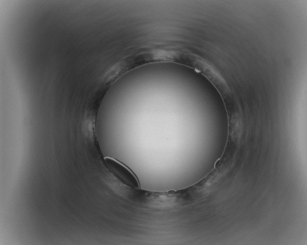 X0000115230329200911061132