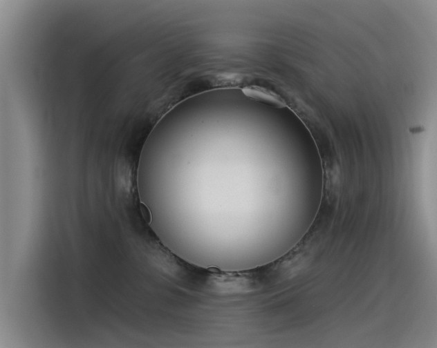 X0000115230331200911061132