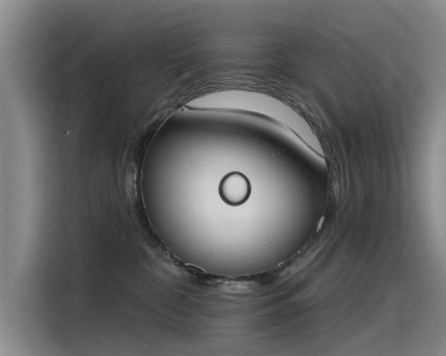 X0000115230332200911061132
