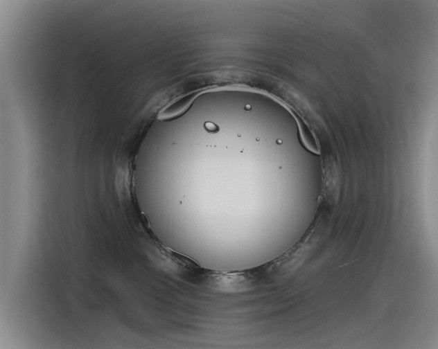 X0000115230333200911061132